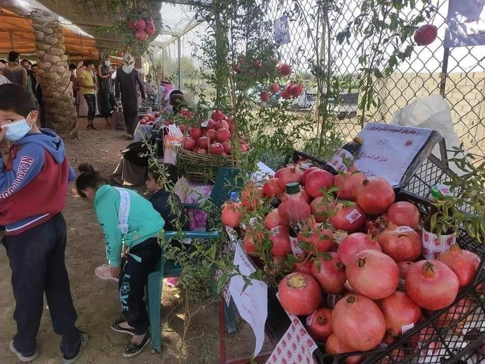 فعالية مهرجان الرمان انطلقت في بلدة السوسة