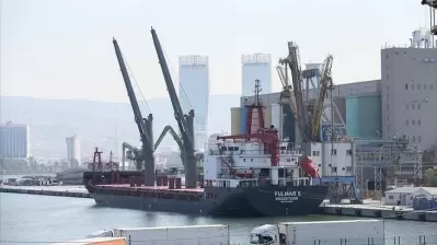 سفينة أوكرانية محملة بالحبوب تصل ميناء ألصانجاك غربي تركيا