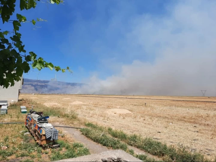 النيران التهمت مساحات كبيرة مزروعة بالمحاصيل-الطريق