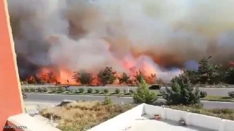 بكر باك دميرلي:  تمت السيطرة على حرائق الغابات